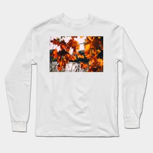 Fall Autumn Leaves Photography Long Sleeve T-Shirt